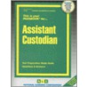 Assistant Custodian by Unknown