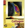 Aufbaukurs Collagen door Thomas Martin