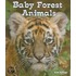 Baby Forest Animals