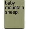 Baby Mountain Sheep by Wayne Lynch