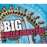 Big Roller Coasters by Catherine Ipcizade