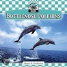 Bottlenose Dolphins by Megan M. Gunderson