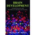 Brain Development C