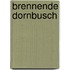 Brennende Dornbusch