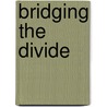 Bridging The Divide door Edy Kaufman