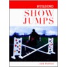 Building Show Jumps door Andy Radford