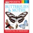 Butterflies & Moths
