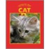 Caring for Your Cat