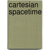 Cartesian Spacetime by Edward Slowik