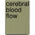 Cerebral Blood Flow