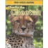 Charlie the Cheetah