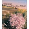 Chasing Wildflowers by Scott Calhoun