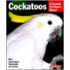 Cockatoos Cockatoos