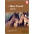 New Forestpony