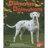 Dalmatas/Dalmatians