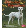 Dalmatas/Dalmatians by Jody Sullivan Rake