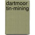 Dartmoor Tin-Mining