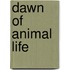 Dawn Of Animal Life