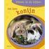 Het Lieve Konijn