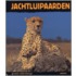 Jachtluipaarden
