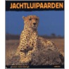 Jachtluipaarden