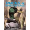 Ducks And Waterfowl by Marcus Schneck