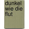 Dunkel wie die Flut door Patti Callahan Henry