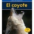 El coyote / Coyotes