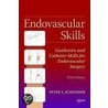 Endovascular Skills door Peter Schneider
