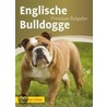 Englische Bulldogge door Annette Schmitt