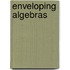 Enveloping Algebras