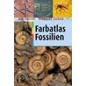Farbatlas Fossilien door Max Urlichs