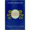 Fearless Simplicity door Tsoknyi Rinpoche