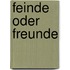 Feinde oder Freunde