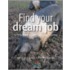 Find Your Dream Job