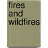 Fires and Wildfires