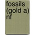 Fossils (Gold A) Nf