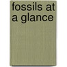 Fossils At A Glance door Sue Rigby