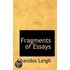 Fragments Of Essays