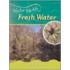 Fresh Water (Water)
