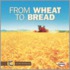 From Wheat To Bread