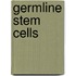 Germline Stem Cells