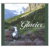 Glacier Impressions door John Reddy