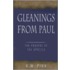 Gleanings from Paul