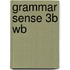 Grammar Sense 3b Wb