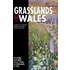 Grasslands Of Wales