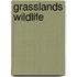 Grasslands Wildlife