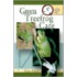Green Treefrog Care