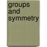 Groups And Symmetry door David W. Farmer