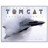 Grumman F-14 Tomcat by George Hall